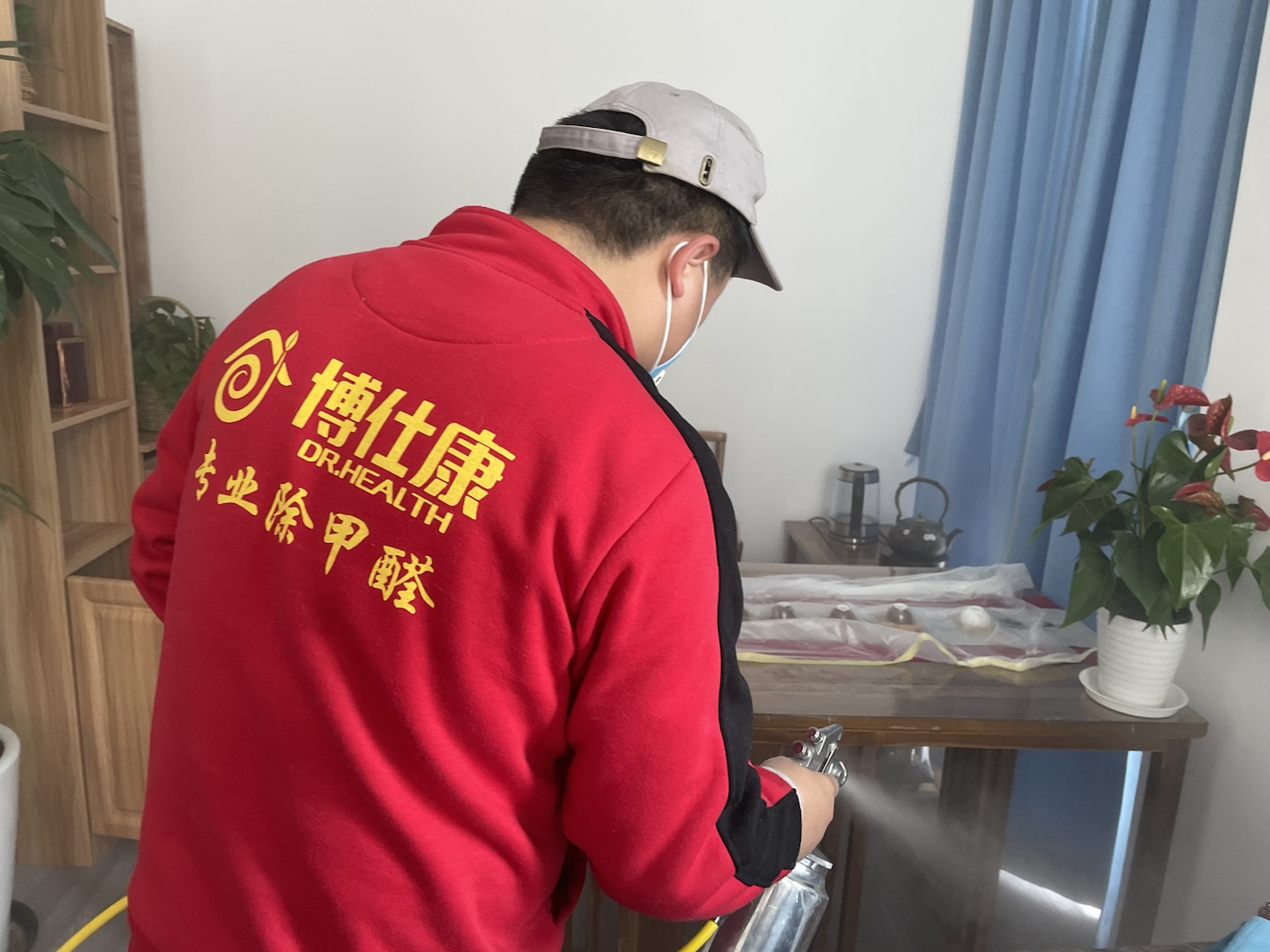 办公室除甲醛