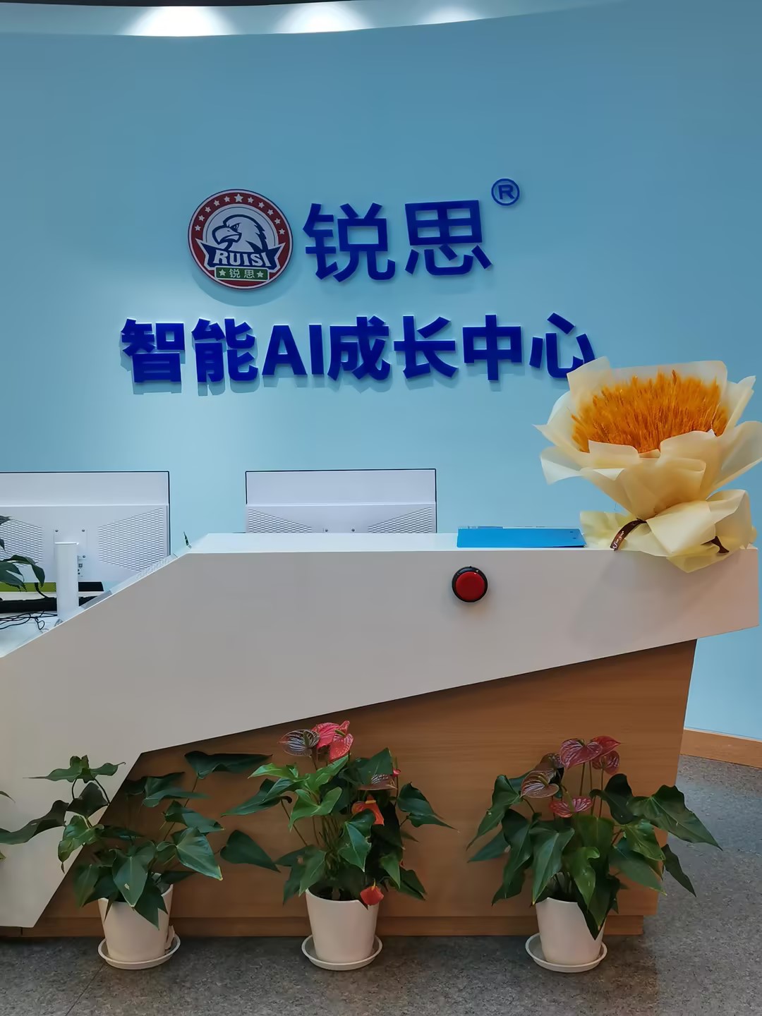 锐思教育空气治理