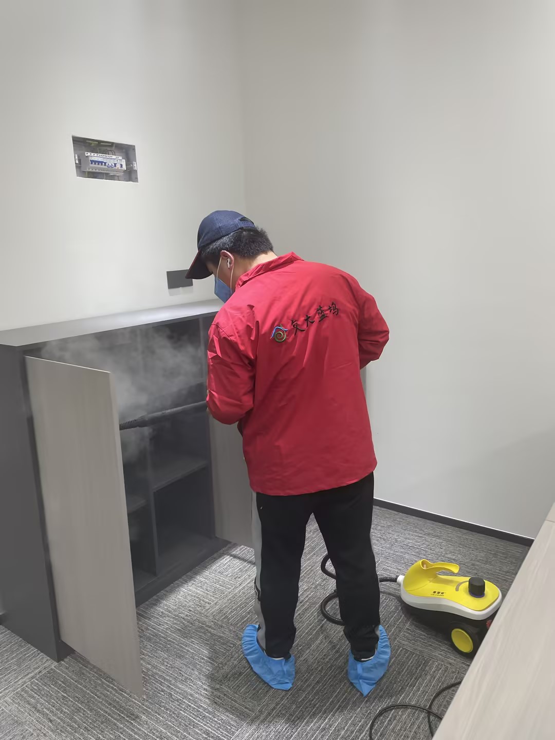 办公场所除甲醛除味