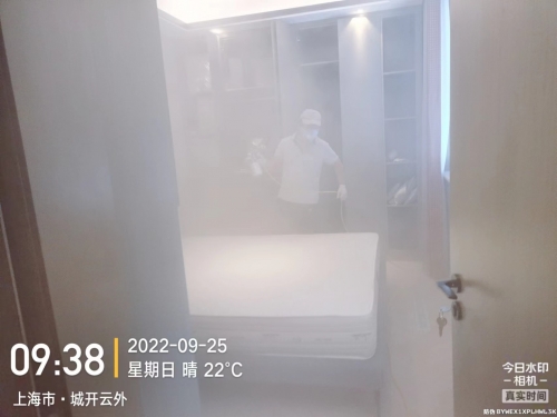 高端别墅除甲醛