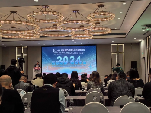 民建市委领导参加双碳经济与...